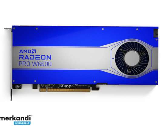 AMD Radeon Pro W6000 grafikkort 8GB 100 506159