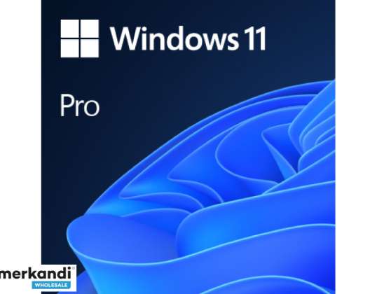 Microsoft SOF Windows 11 Professionnel 64 bits OEM/DSP anglais DVD FQC 10528