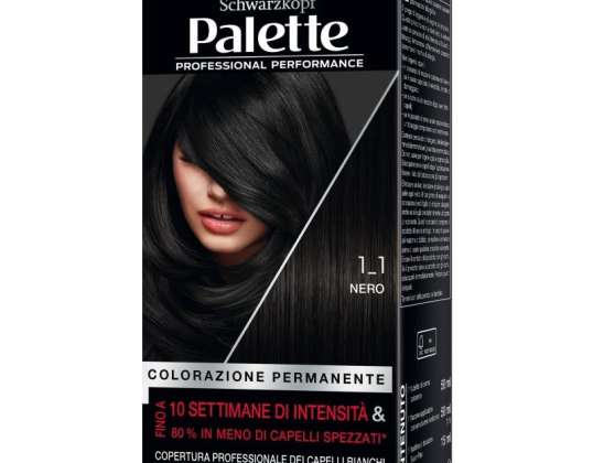PALETTE NOIRE 1 1
