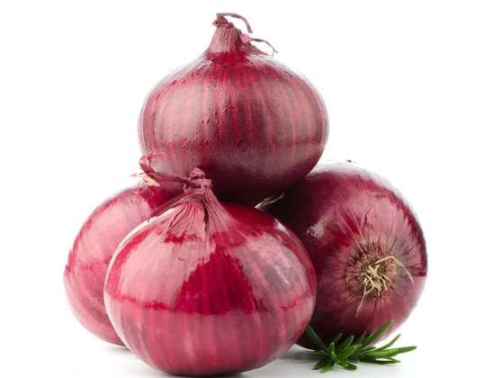 Best-selling And High Quality Wonderful Delicious Fresh Vegetable Red Grade Onion From Export