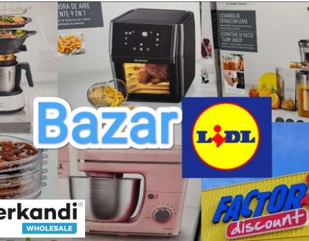 Lidl Bazaar & Electro Mixed TOOLS PARKSIDE ELECTRO SILVERCREST VOLLEDIGE VRACHTWAGEN