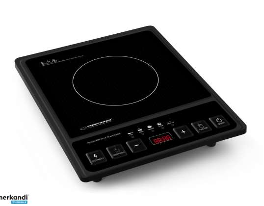 Portable induction hob