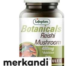 REISHI 60CPS LIFEPLAN