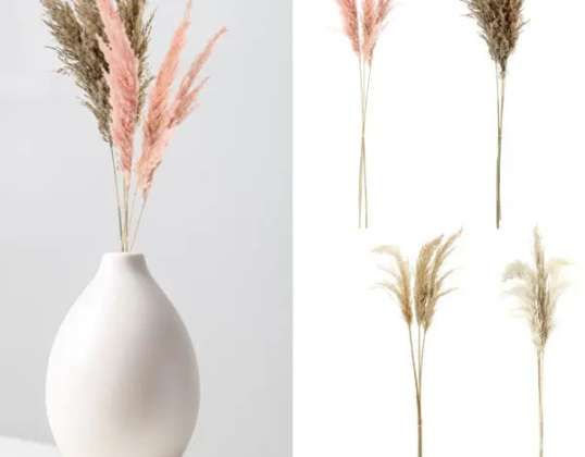 Pampas Stems Model 2 4 pachete de 3 aprox 90 100cmL