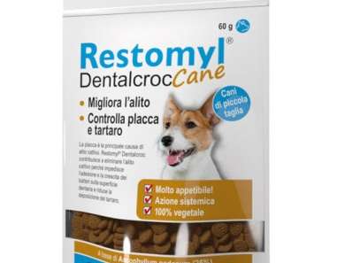 RESTOMIL DENTALCROC 60G