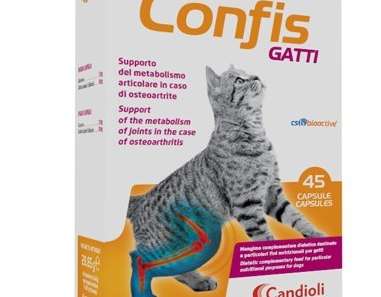 CONFIS CATS 45 CPS