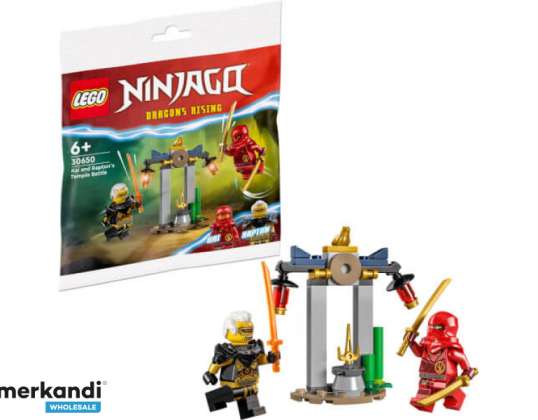LEGO Ninjago Kai and Rapton's Temple Duel 30650