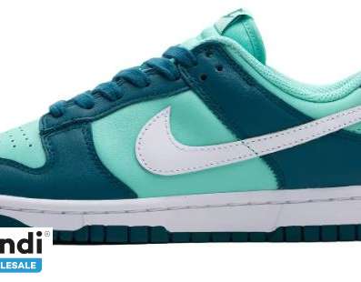 Chaussures Nike Dunk Low Geode Sarcelle DD1503-301