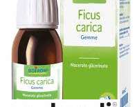 FICUS CARICA MG 60ML INT BO
