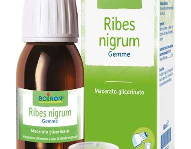 RIBES NIGRUM MG 60ML INT BO