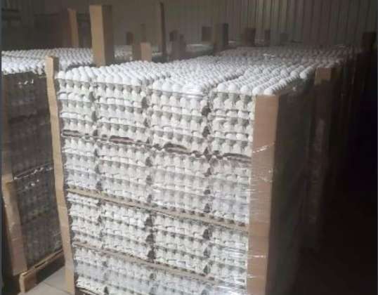 EGGS IN PACKS OF 30 ON PALLET AVAILABLE IN FULL TRUCK FOR PURCHASE IN THE MARSEILLE REGION