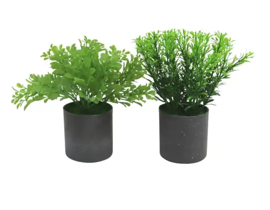 Artificial plant in plastic pot green 22 cm 2 assorted