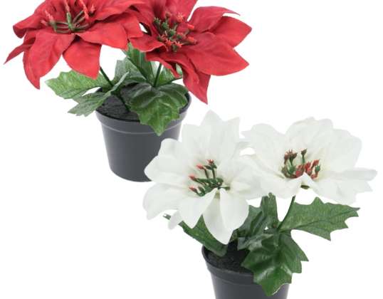 Plante artificielle en pot poinsettia 15 cm 2 assortis