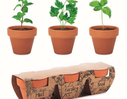 FLOWERPOT Herbs Terracotta Set Wood Natural &amp; Stylish