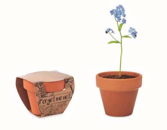 FORGET ME NOT Terracotta pot with wooden base Ideal for forget-me-nots