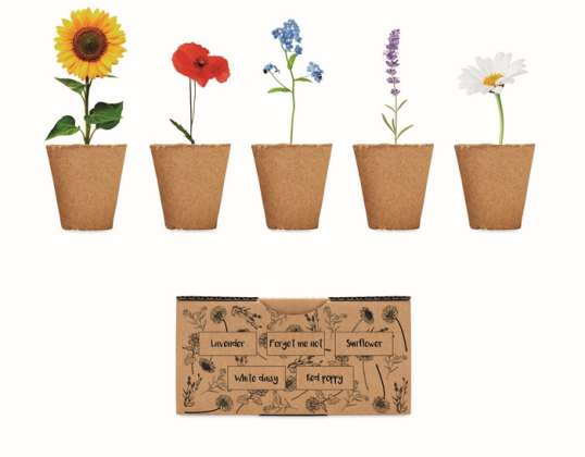 FLOWERS Seed Set for Summer Flowers in Beige Easy Planting