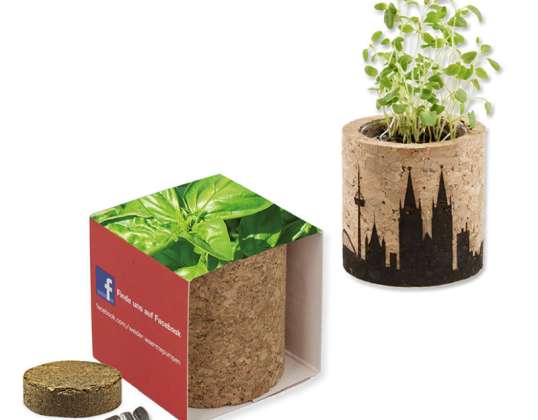 Cork Flower Pot with Banderole and Personalized Laser Engraving – Basil