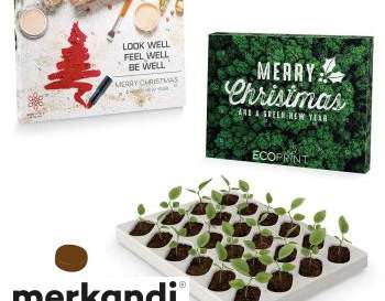 Sustainable DIY Advent calendar for self-filling and planting