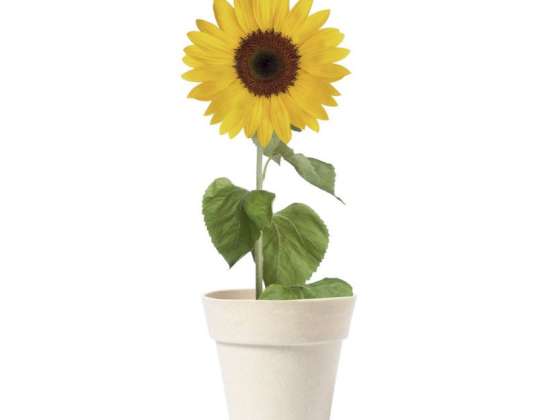 Tumil Flower Pot in Natural Colour Simple &amp; Ecological