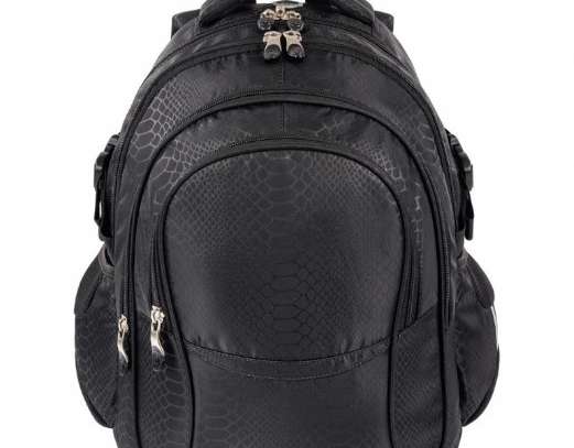 Shiny Snake 16-inch youth school backpack, 4 compartments