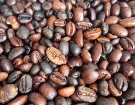 ROBUSTA kahve çekirdekleri %100 - 1 tonluk büyük torbalarda satış - Farklı derecelerde kavurma