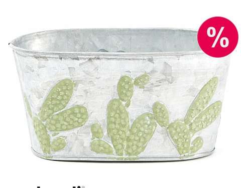 Oval tin pot cover 15x8 cm cactus