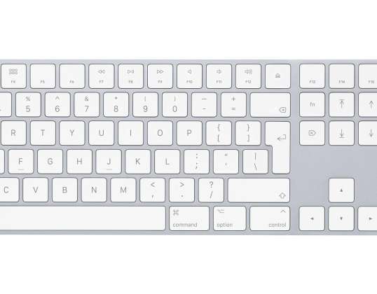 "Apple 11351"