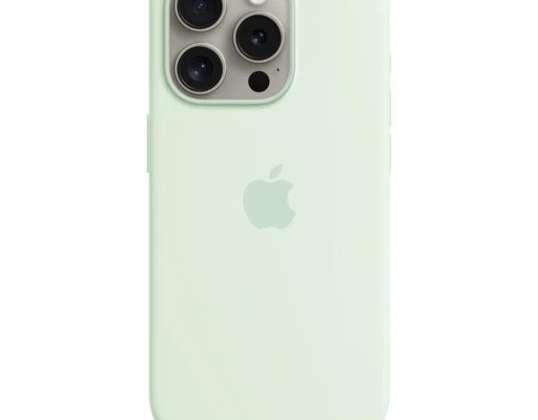 Apple 13373