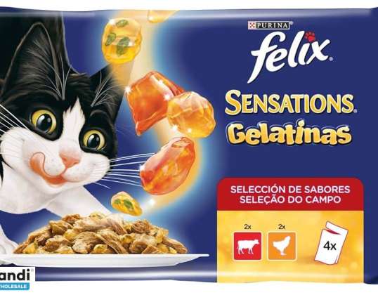 FELIX SENSATIONS EXTRAS MAN/TAC SAL/TON GR.85X10 FOOD BESCHREIBUNG 3583