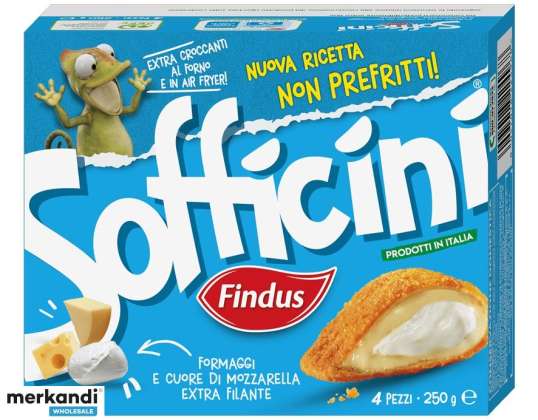 FINDUS SOFFICINI GR.250 JUUSTO/MOZZARELLA ELINTARVIKKEEN KUVAUS 1513