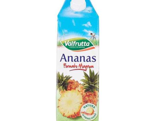 VALFRUTTA LT.1.5 ANANAS LEBENSMITTEL BESCHREIBUNG 1747