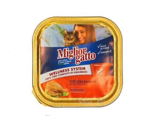 BESTE KATZENSCHALE 100 GR LACHSFUTTER BESCHREIBUNG 3482