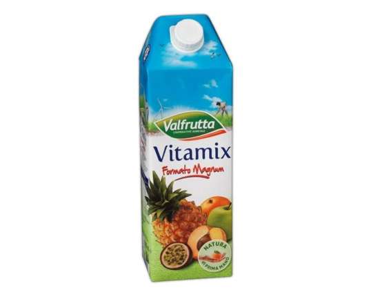 VALFRUTTA LT.1.5 VITAMIX LEBENSMITTEL BESCHREIBUNG 1745