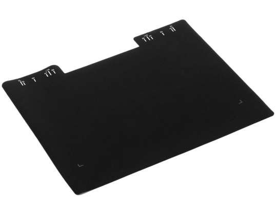 Ricoh ESPRI246906
