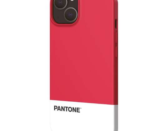 Pantone ESPRI 4313971