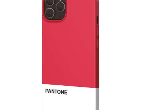 Pantone ESPRI 4313974