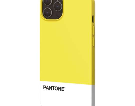 Pantone ESPRI 4313975