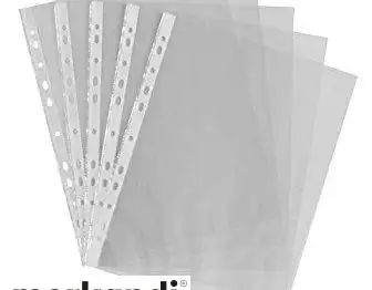 Plastidea IPRES 46581
