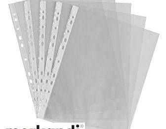 Plastidea IPRES 46580