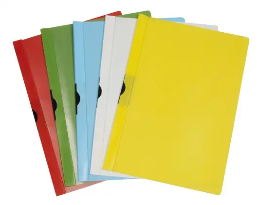 Plastidea IPRES 46564