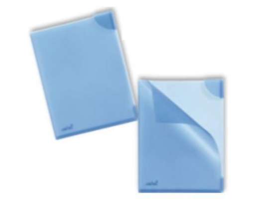 Plastidea IPRES 46360