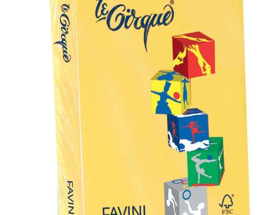 Cartotecnica Favini IPRES 45890