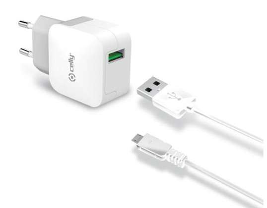 Celly IPRES 43769