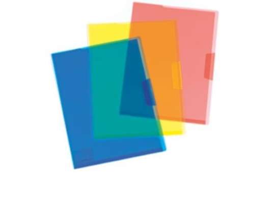 Plastidea IPRES 46384