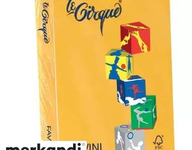 Cartotecnica Favini IPRES 45889