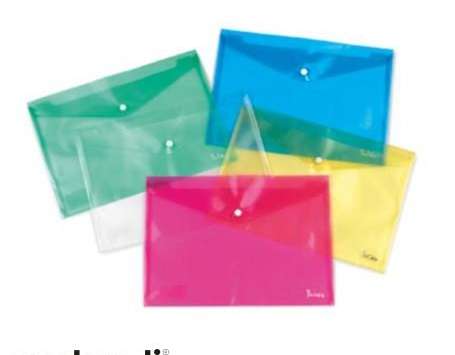 Plastidea IPRES 46563