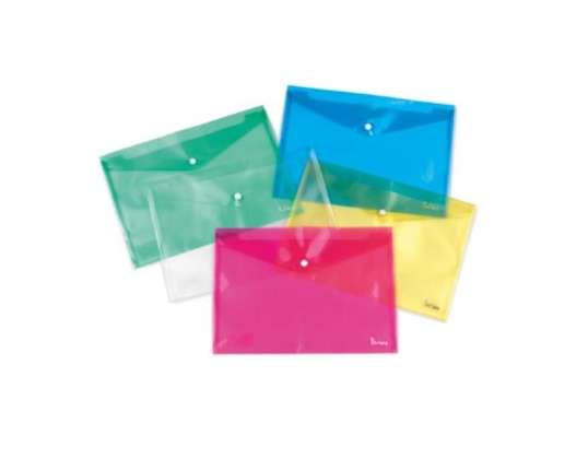 Plastidea IPRES 46565