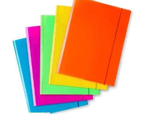 Plastidea IPRES 46520