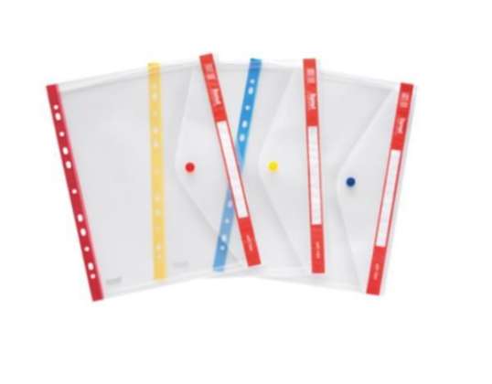 Plastidea IPRES 46560