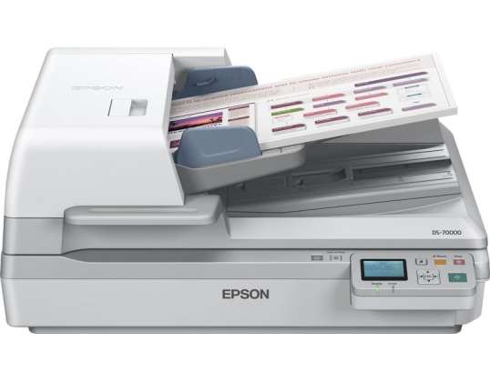 MAIN-D’ŒUVRE DS-70000N 4423